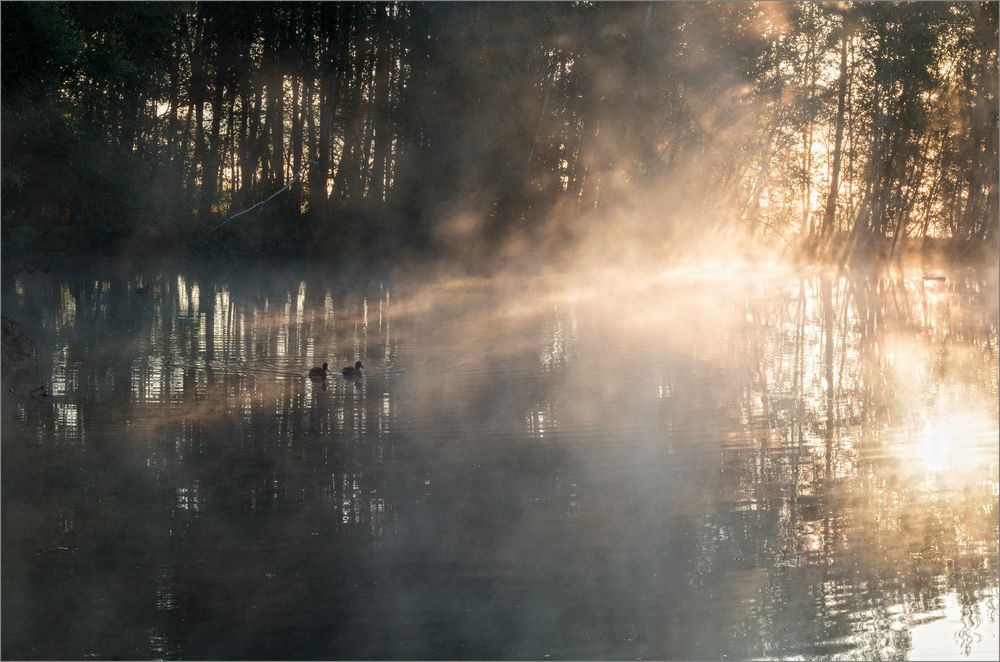 Früh morgens im Schwenninger Moos