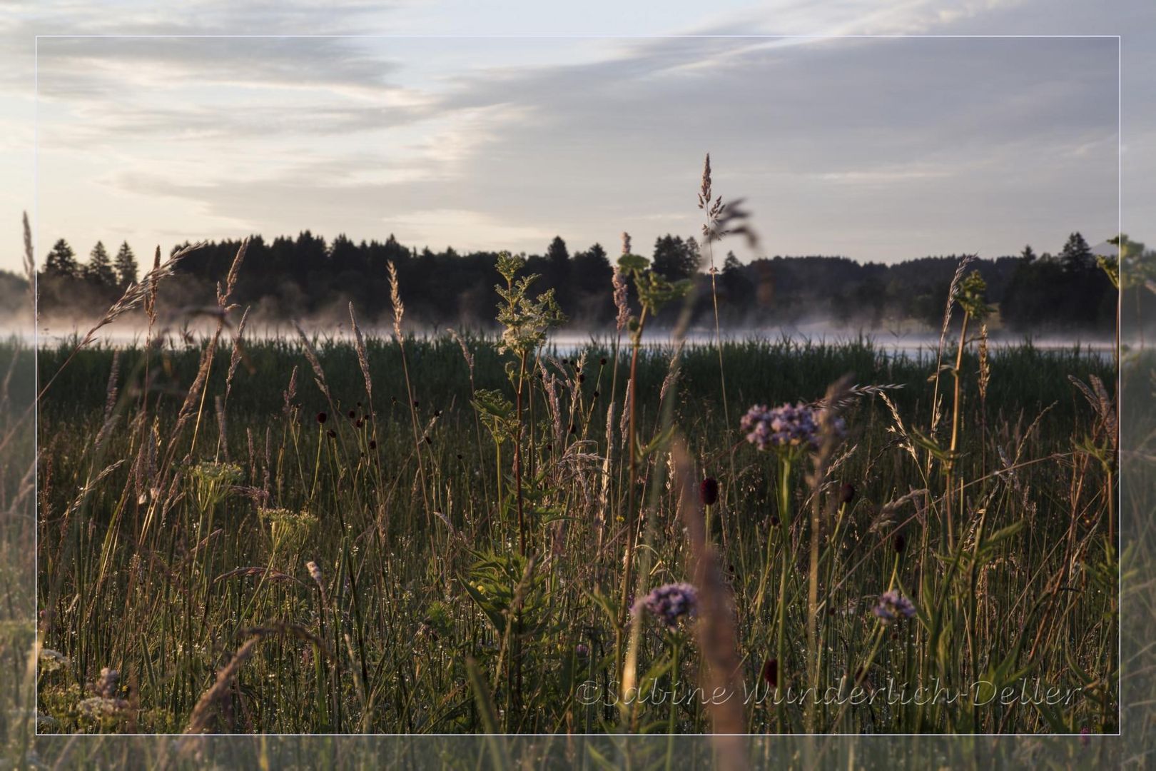 Früh Morgens in Bad Bayersoien