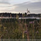 Früh Morgens in Bad Bayersoien