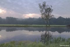 .....früh morgens in den Ruhrwiesen....