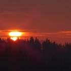 ...früh morgens in der Eifel...