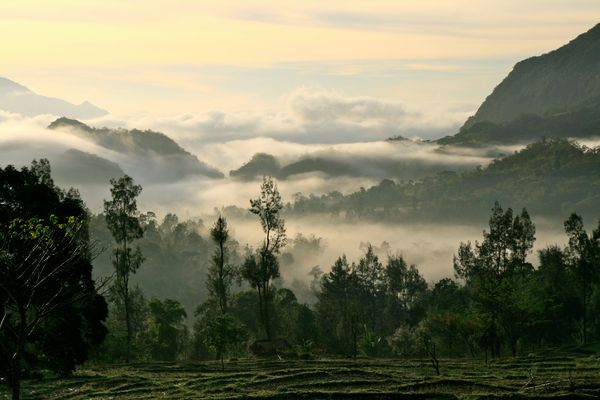 früh morgens in der nähe von natarbora - osttimor