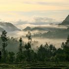 früh morgens in der nähe von natarbora - osttimor