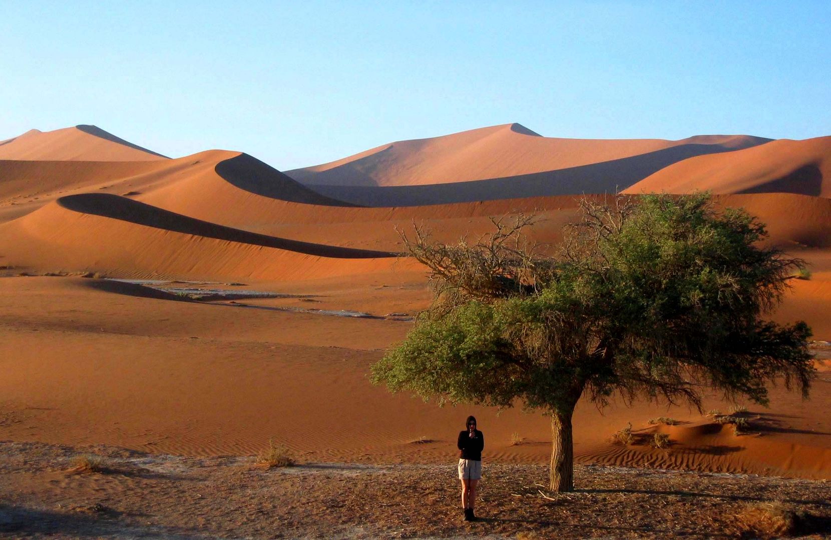 Früh morgens in der Namib