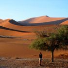 Früh morgens in der Namib