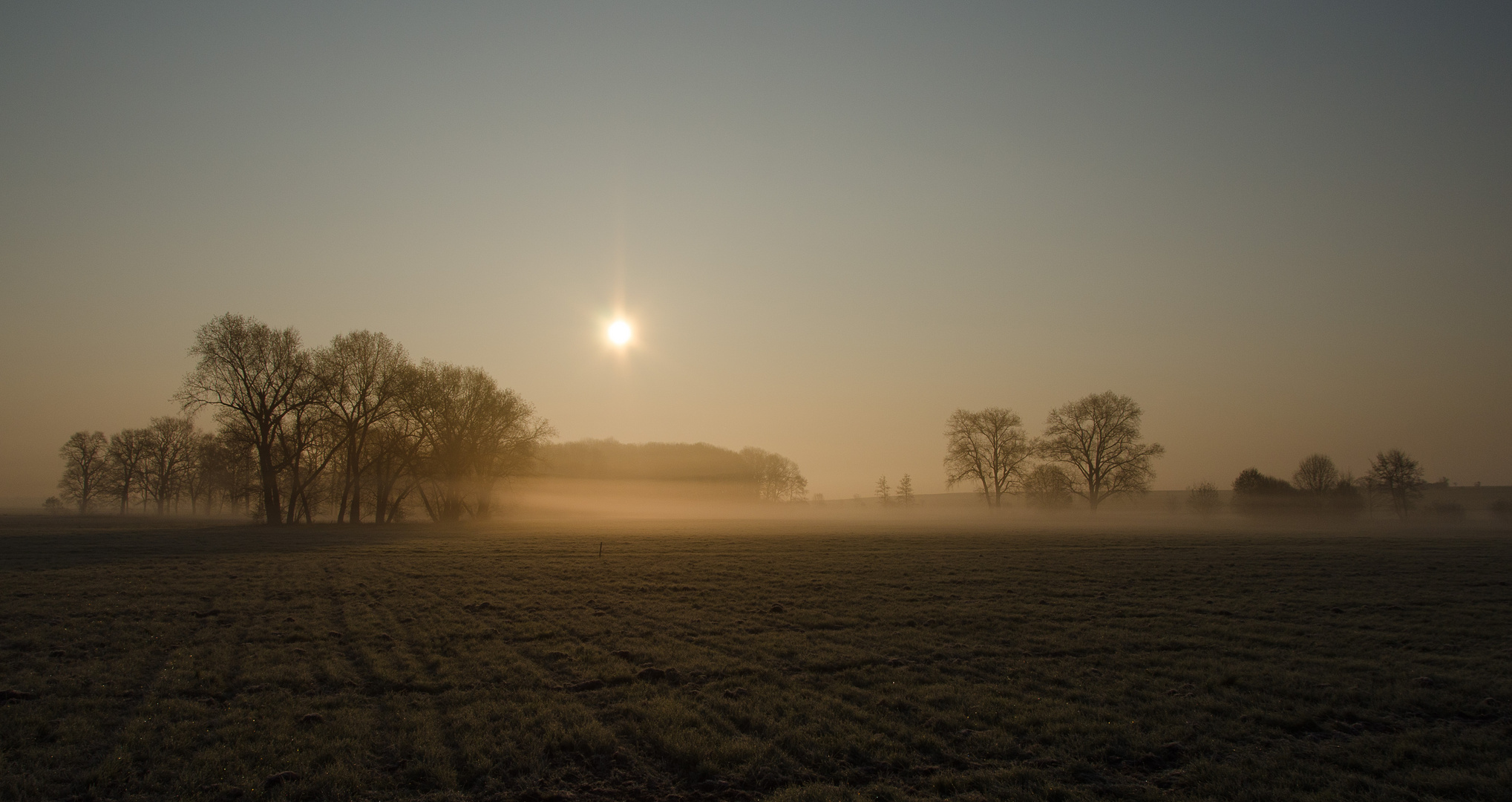 Früh morgens in Kleinböhla