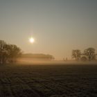 Früh morgens in Kleinböhla