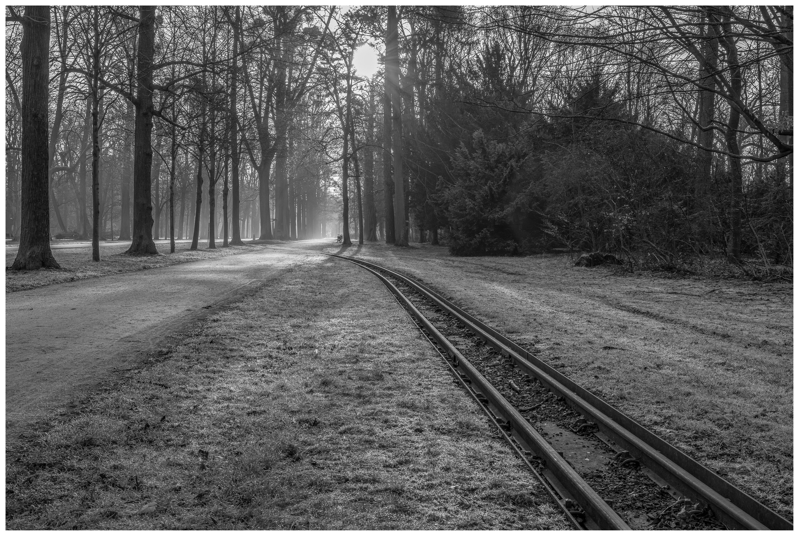 Früh morgens leichter Nebel in einem Park