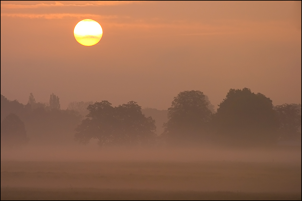 Früh morgens mitten in Köln