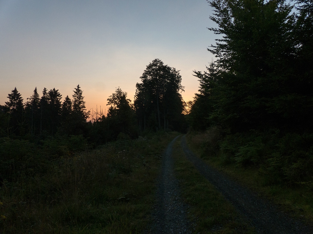 Früh morgens unterwegs