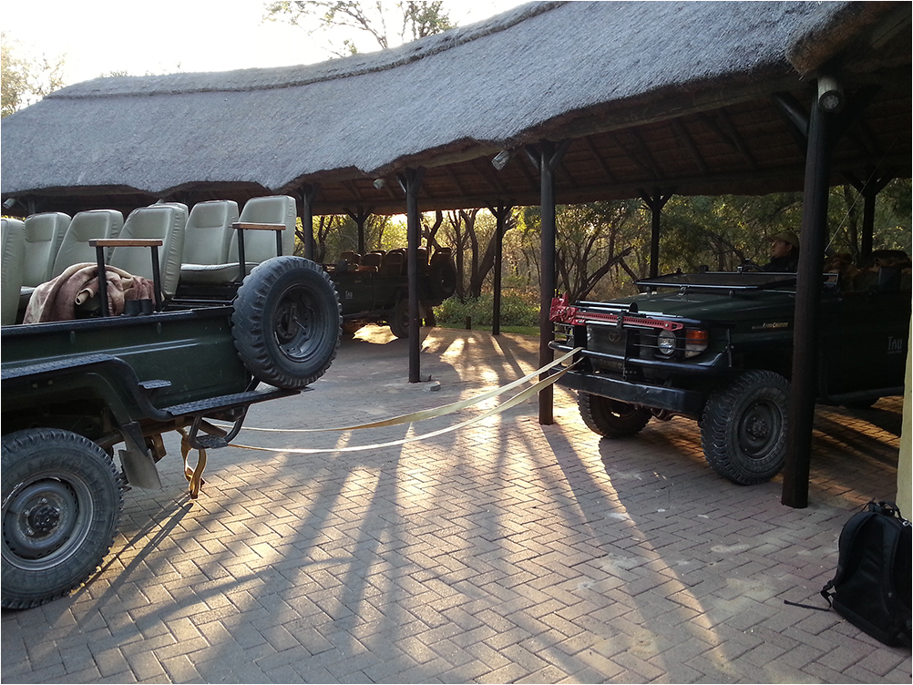 Früh morgens vor dem Game Drive...