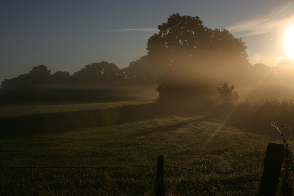 Früh Morgentlicher Nebel