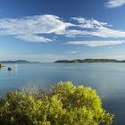 Früh nach Sonnenaufgang in Paihia, Bay of Islands, Neuseeland Nordinsel