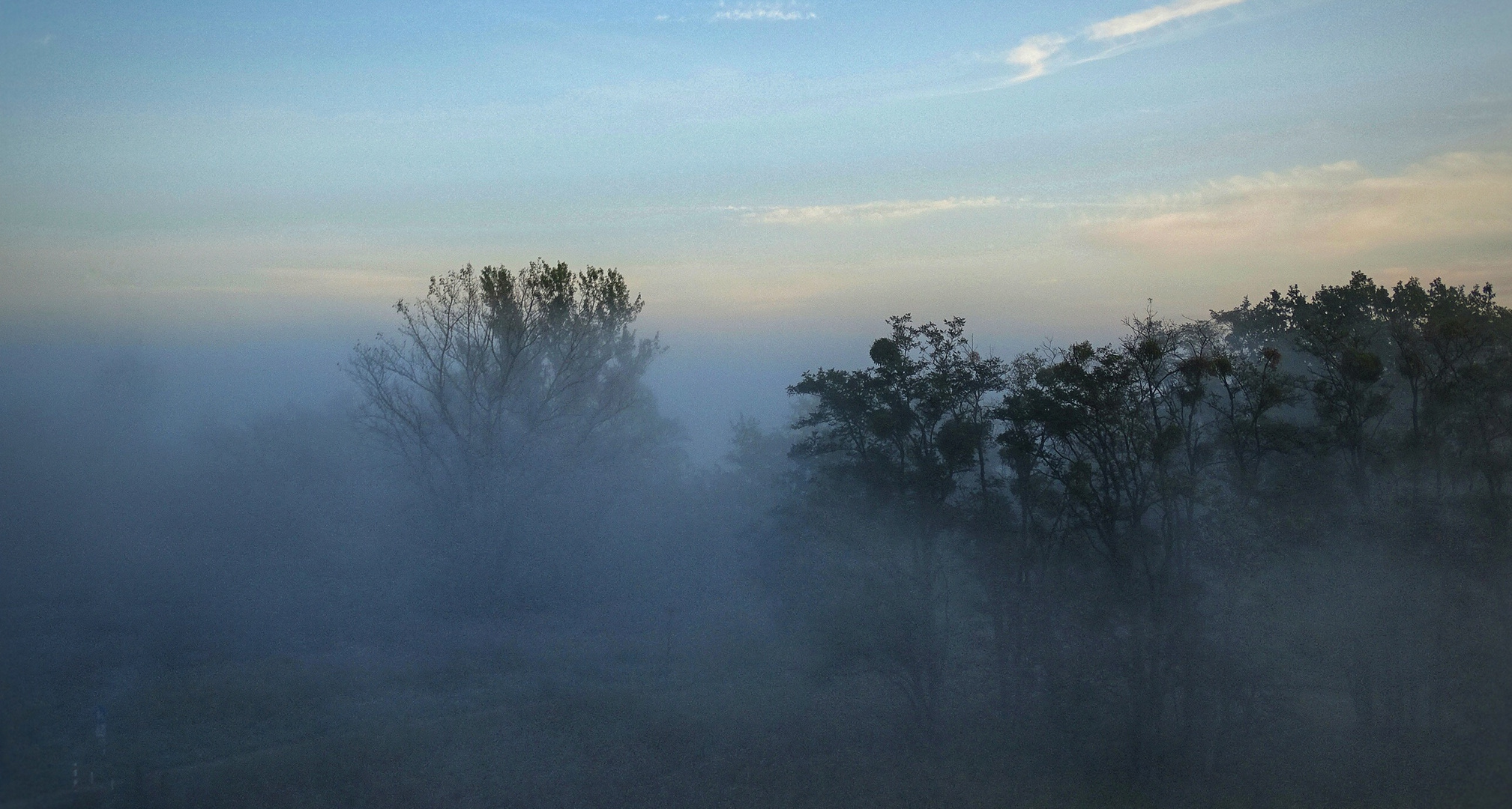 Früh Nebel