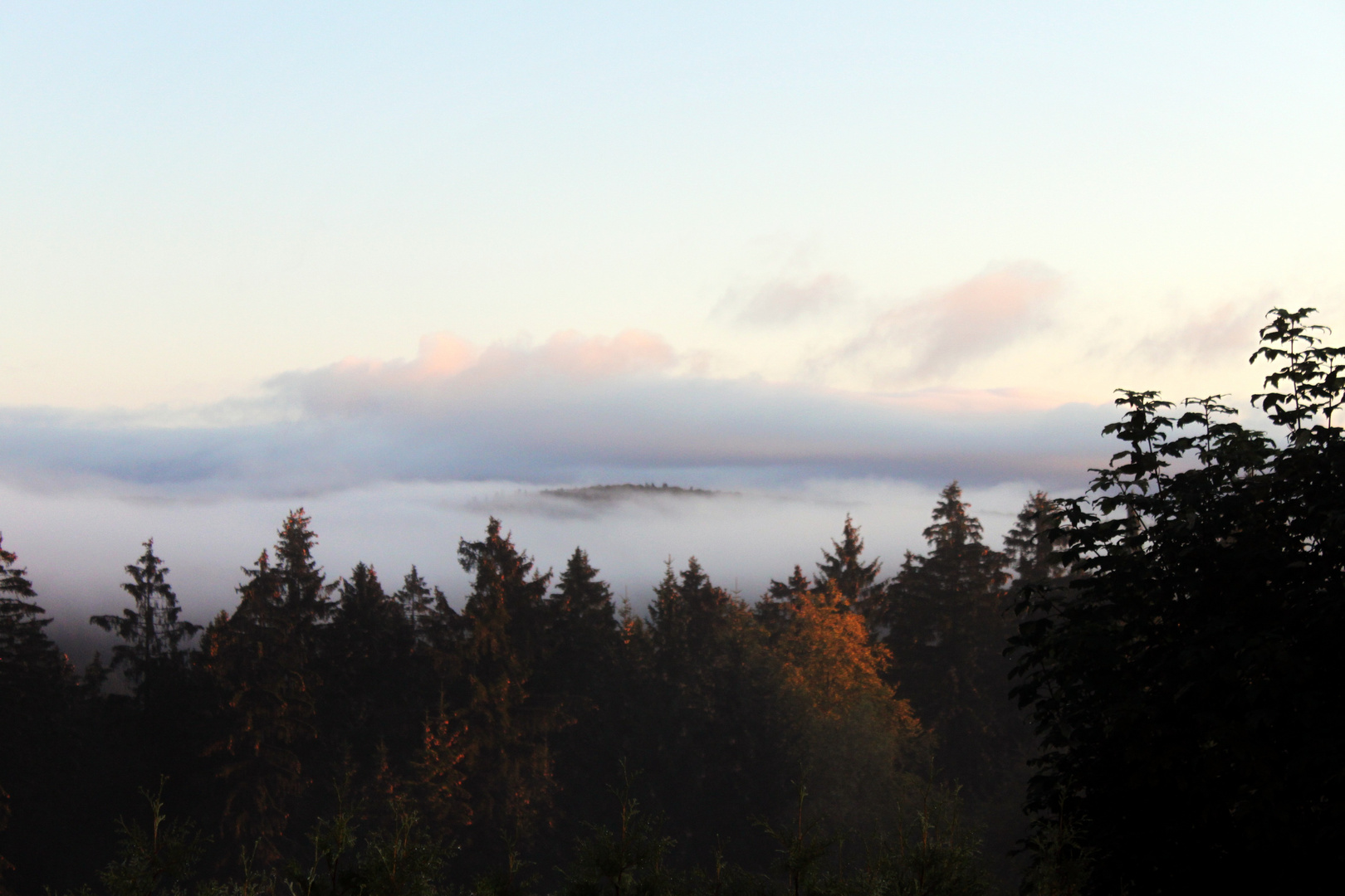 Früh Nebel