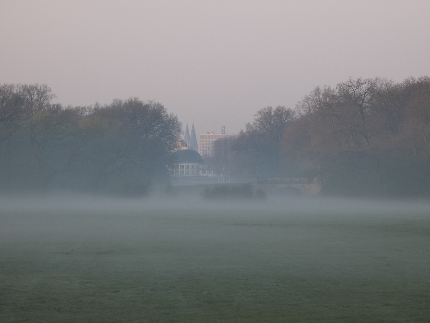 Früh Nebel