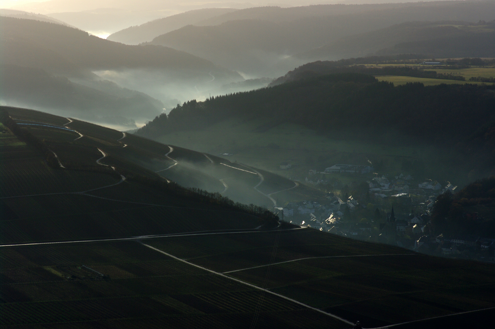 Früh-Nebel