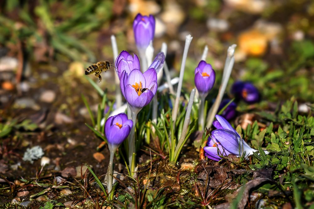 Früh unterwegs