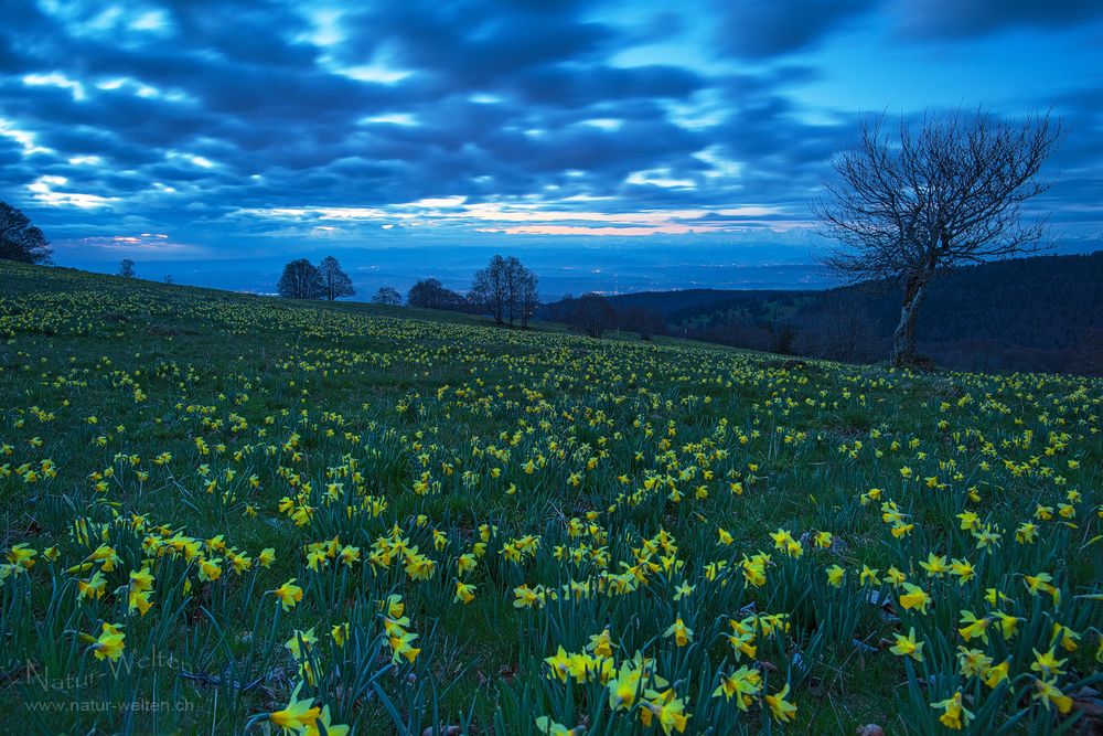 Früh unterwegs