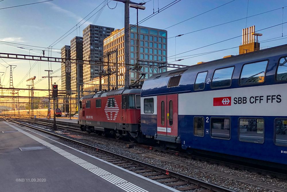 Frühabendliche Begegnung in Zürich-Altstetten