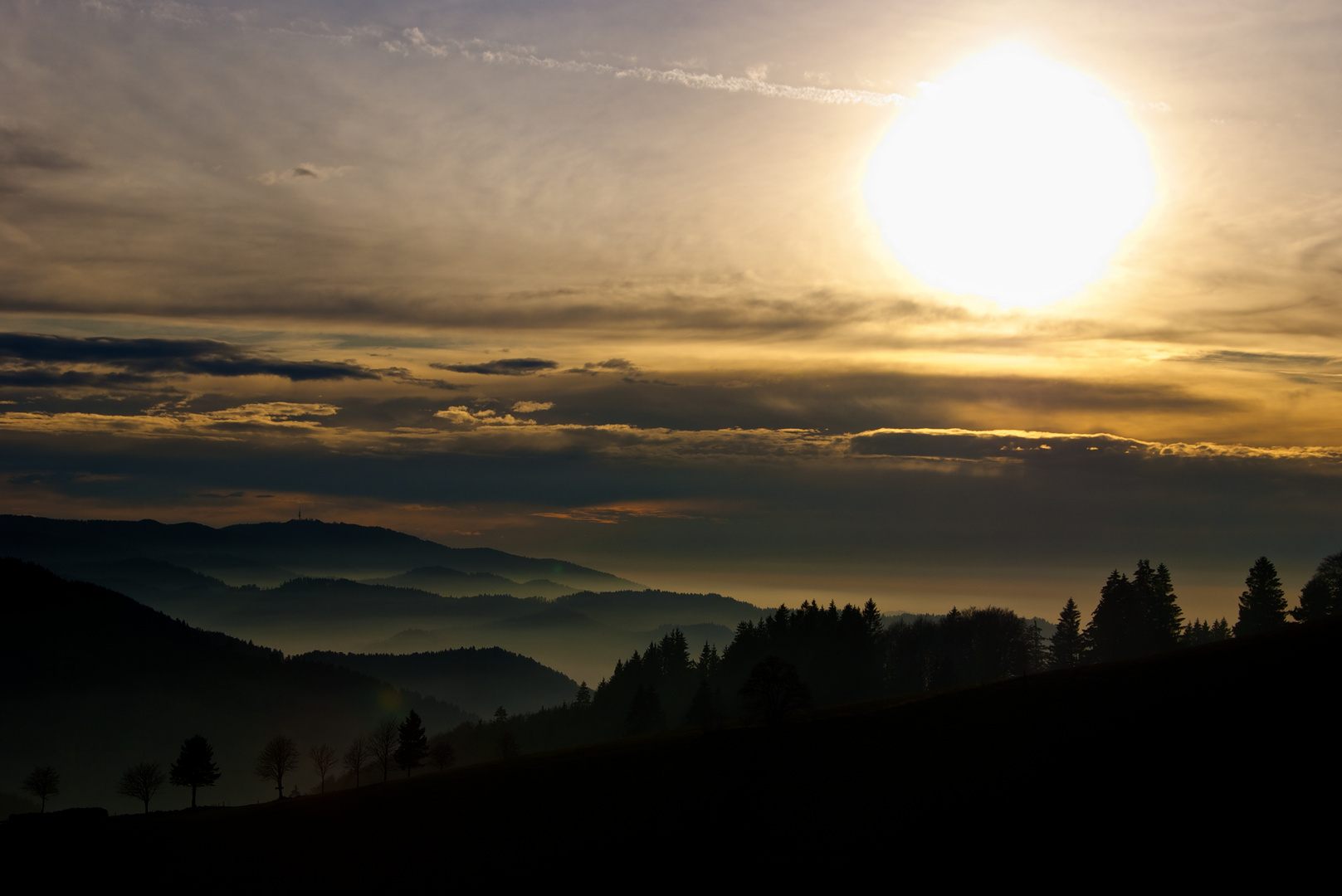 ...frühabends im Schwarzwald...