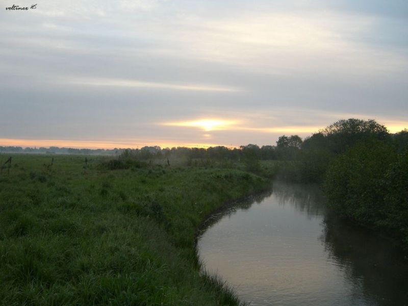 Frühaufsteher