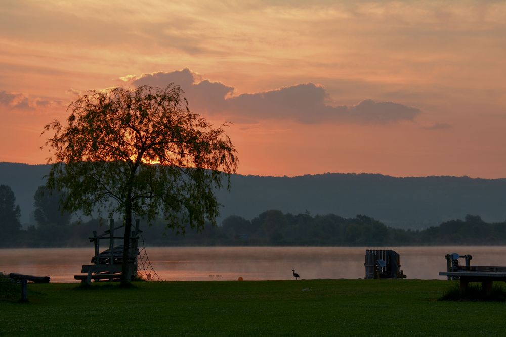 Frühaufsteher...