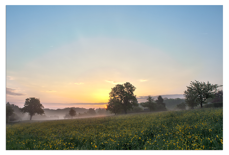 ~ frühaufsteher III ~