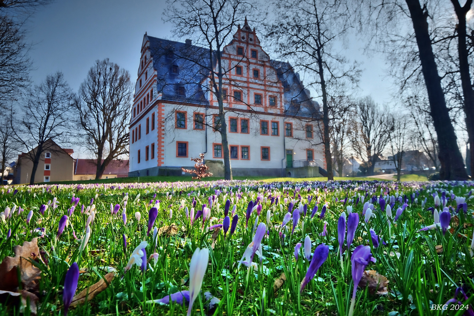 Frühblüher nach eiskalter Märznacht vor Schloss Ponitz 