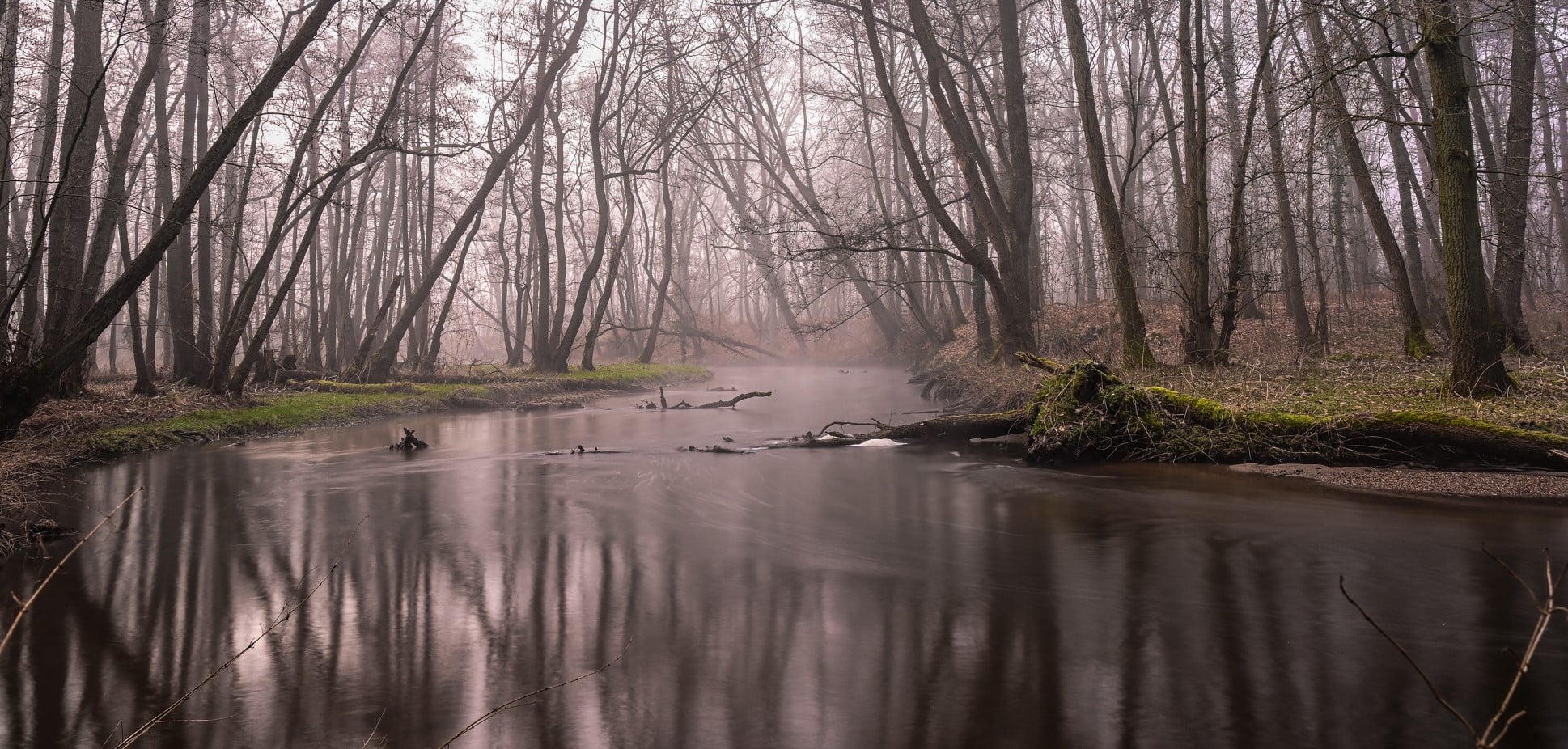 Frühdunst am naturnahen Tieflandfluss 