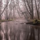 Frühdunst am naturnahen Tieflandfluss 