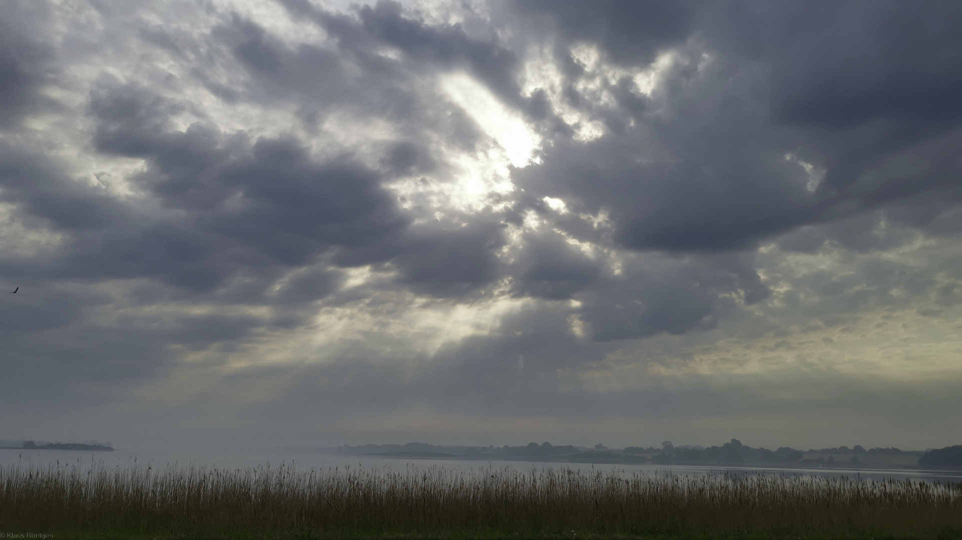 Frühdunst über der Schlei