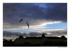 Frühe Abenddämmerung