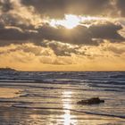 Frühe Abendsonne am Weststrand Fischland Darß