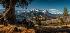 ~ FRÜHE AUSSICHT I ~