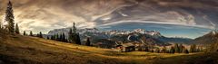 ~ FRÜHE AUSSICHT II ~