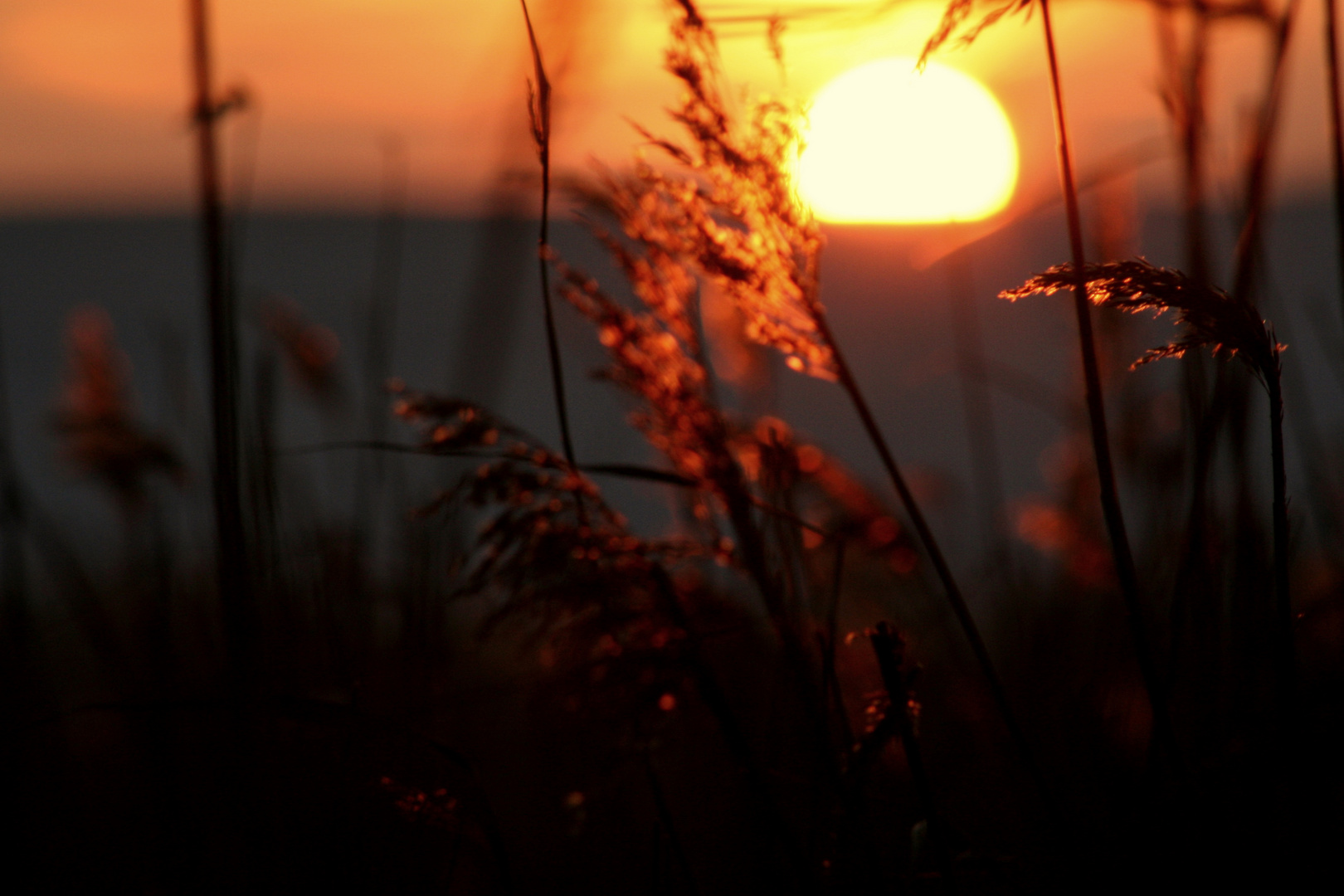 Frühe Morgensonne