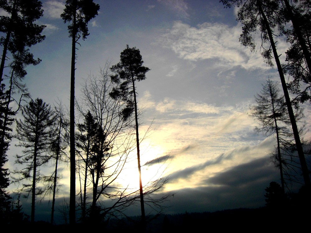 frühe Morgensonne