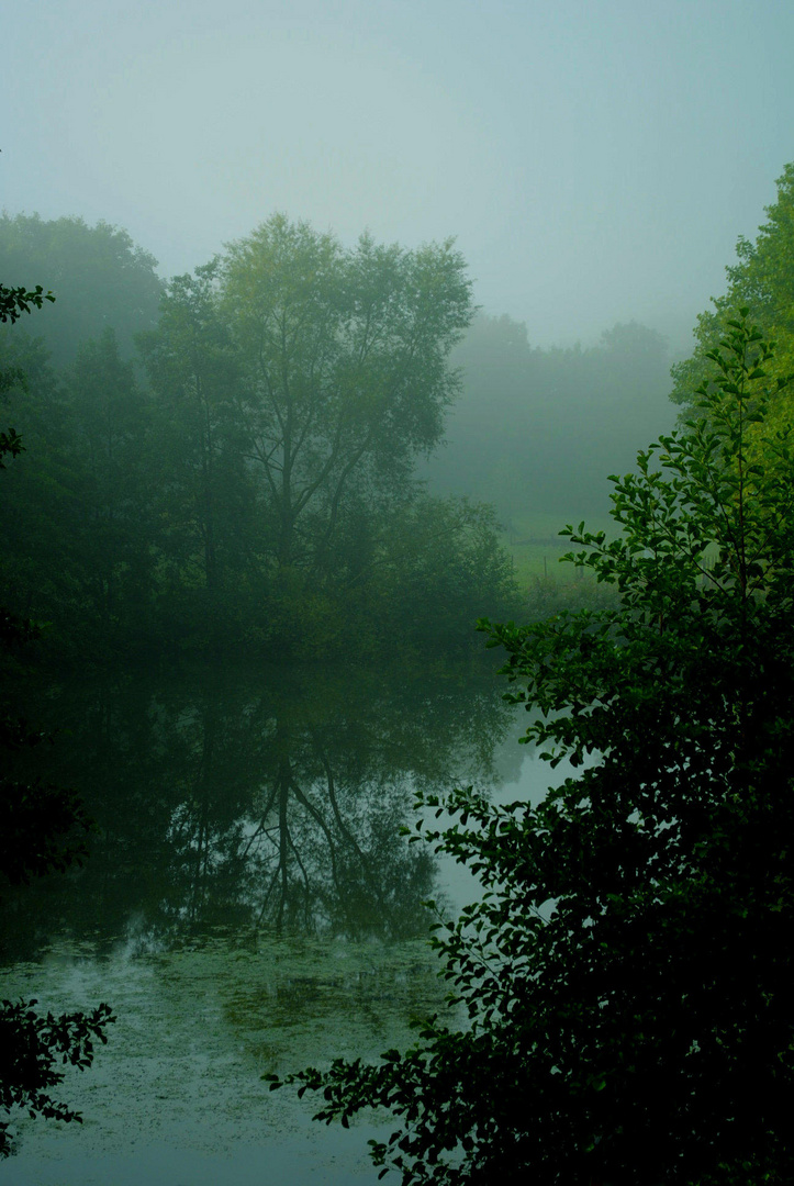 Frühe Morgenstimmung am Weiher