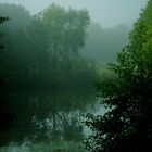 Frühe Morgenstimmung am Weiher