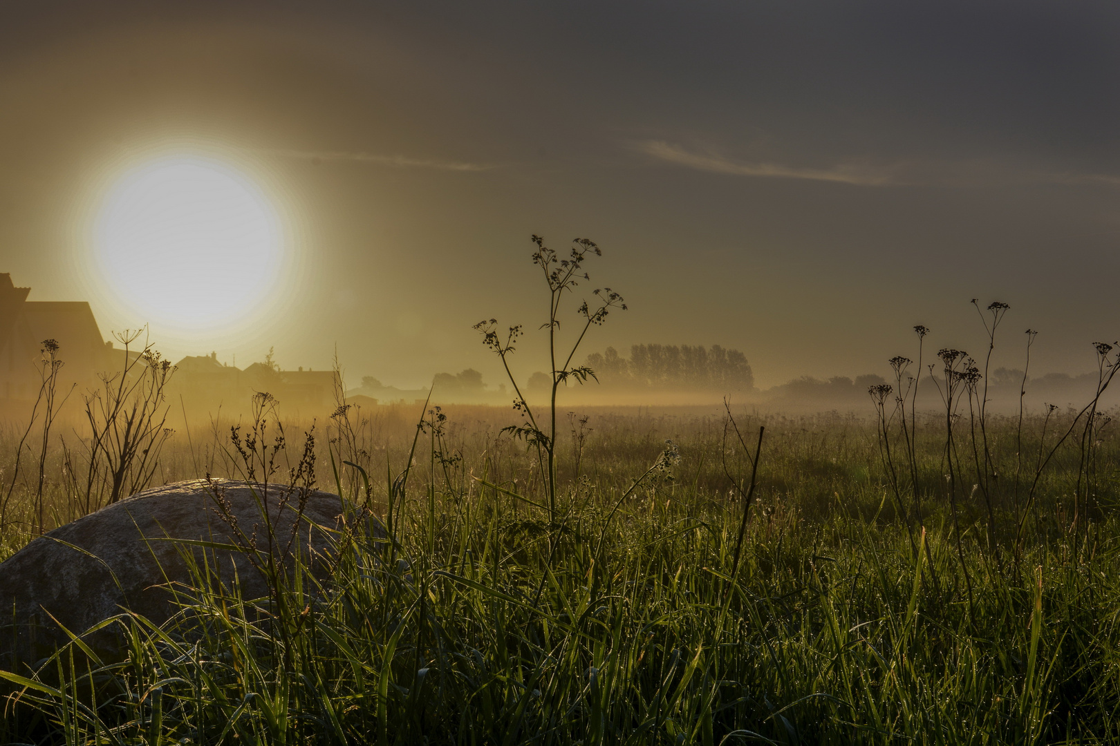 Frühe Nebel