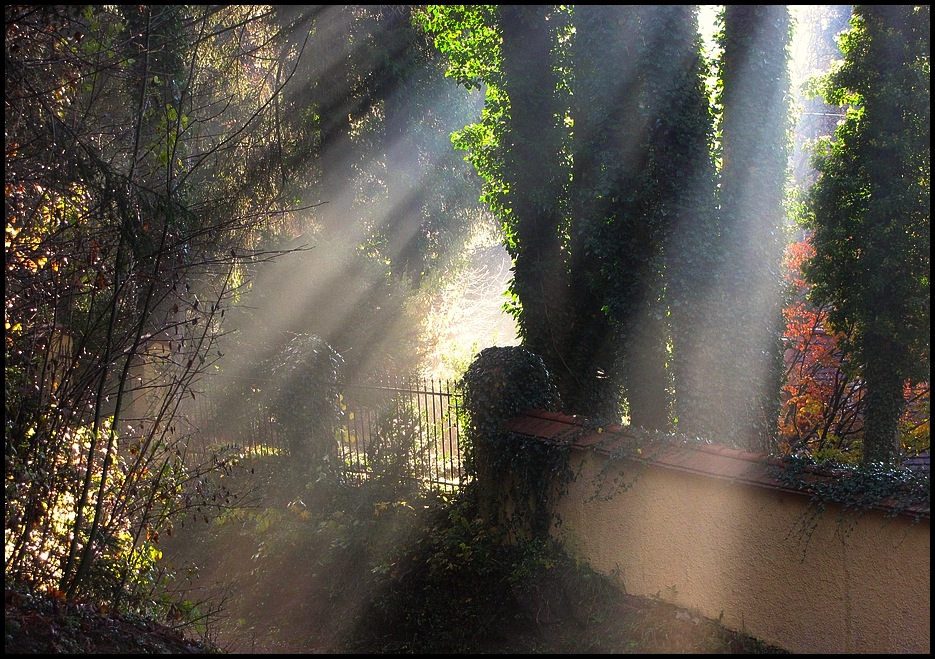 frühe Sonne...