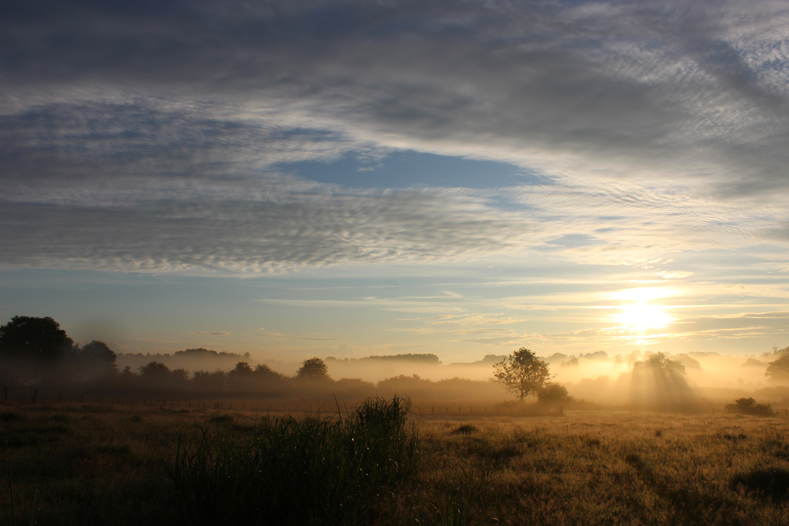 frühe Sonne