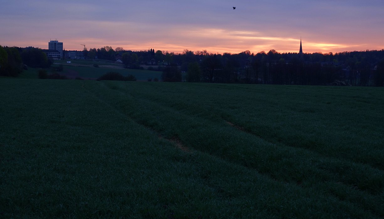 Frühe Vögel können auch fliegen