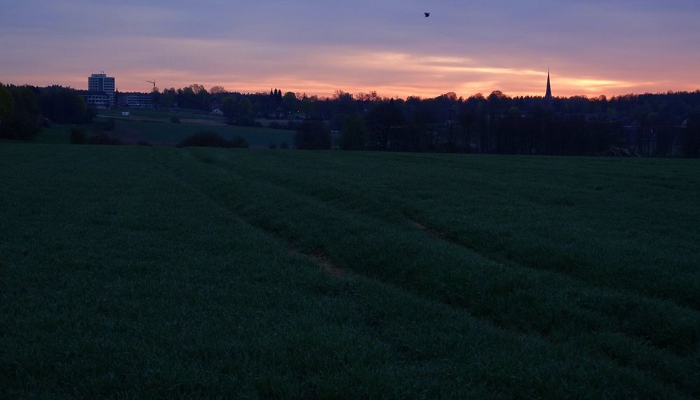 Frühe Vögel können auch fliegen