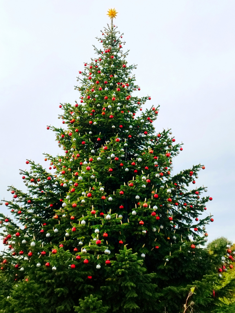 Frühe Vorbereitung auf die Weihnachtszeit. 