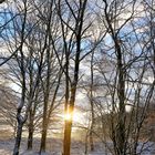 frühe Winter-Sonne