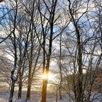 frühe Winter-Sonne