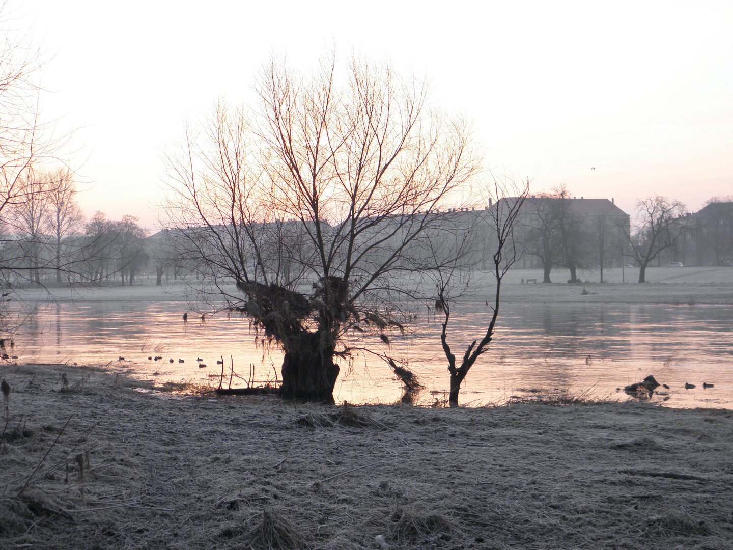 frühe Wintersonne