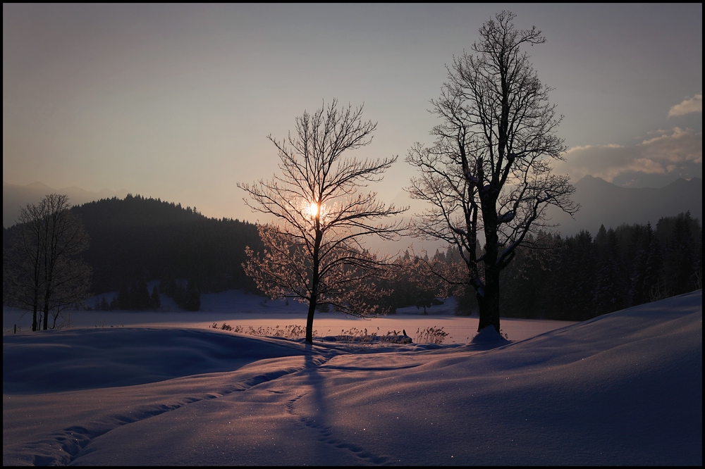 ~ frühe Wintersonne I ~